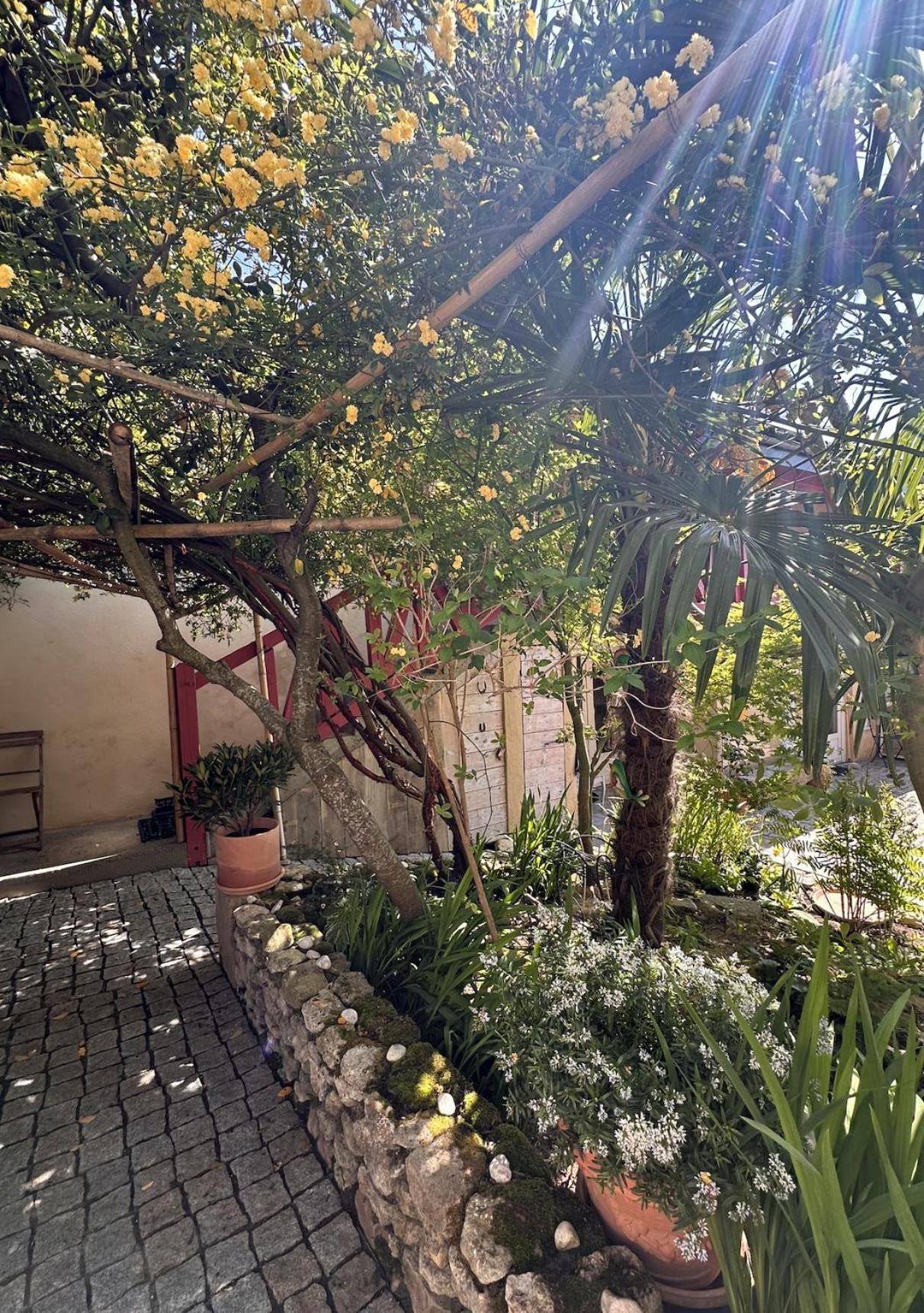 Le Patio Tursan 호텔 Pimbo 외부 사진